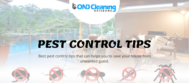 pest control tips