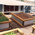 10 Reasons Why Raised Bed Gardening is the Easiest Way to Grow Your Own Food