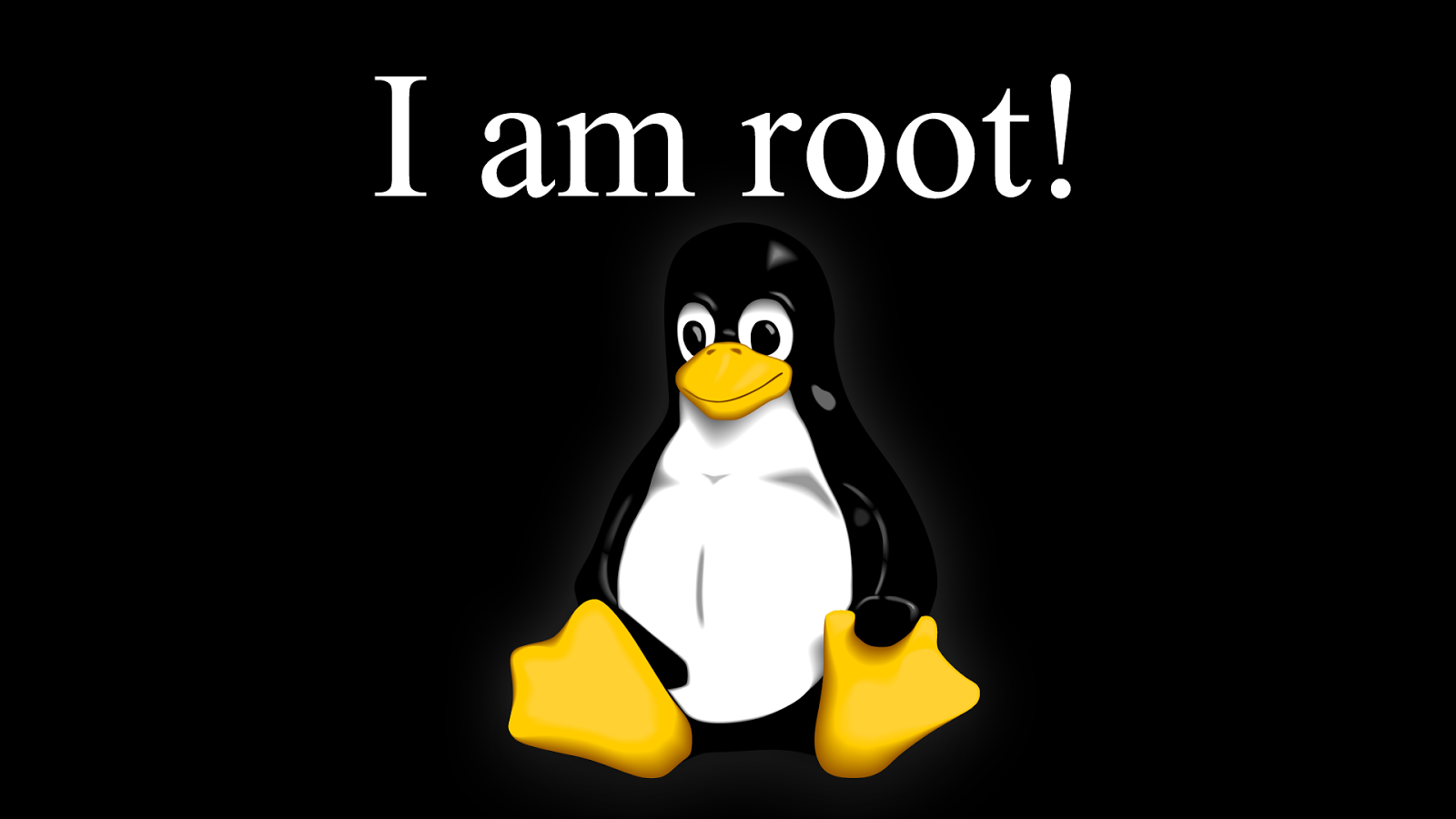 Am i root ubuntu