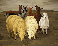 Sheep and Goats