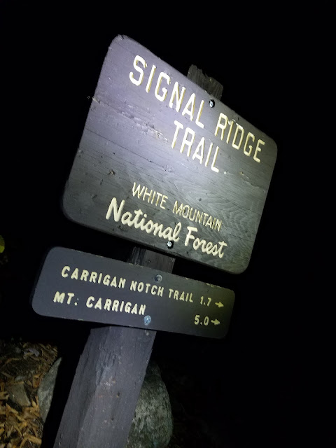 Signal Ridge trail to Mt. Lowell Chute