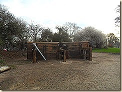 SAM_6379