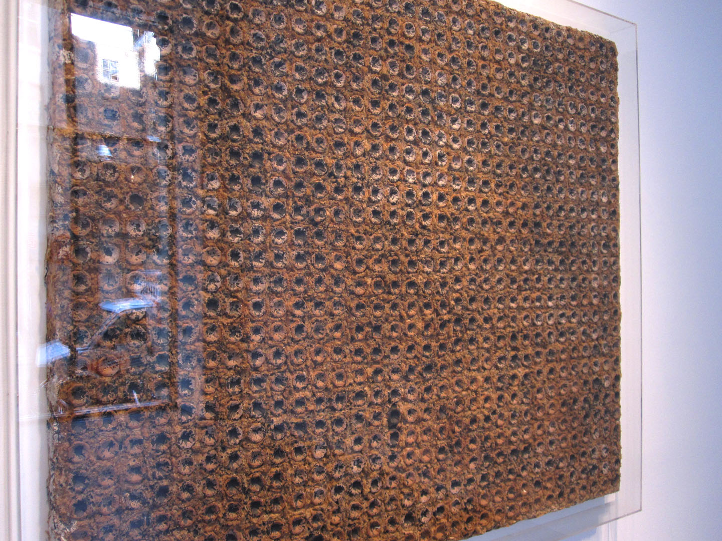 Untitled work by Yayoi Kusama from 1962, made from egg cartons ...