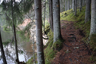 Saesaare matkarada