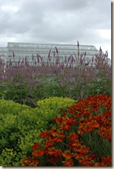 rhs wisley 024