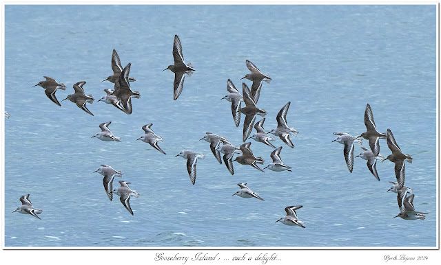 Gooseberry Island: ... such a delight...