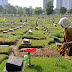 Apakah Anda Jarang Ziarah ke Makam Orang Tua? Kisah Ini Akan Membuat Anda Tercengang