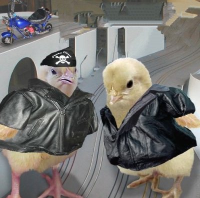 Download this Biker Chicks picture