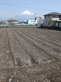 053dev-DSCF0155
