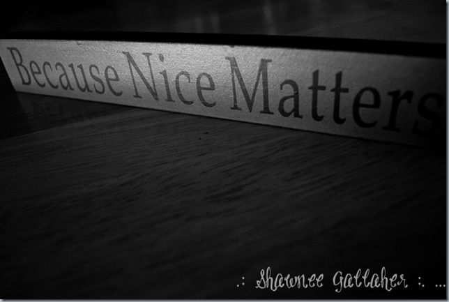 Nice Matters