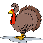 turkey pee