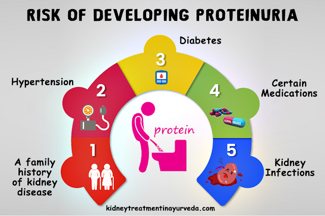 Risk of Developing Proteinuria - Karma Ayurveda