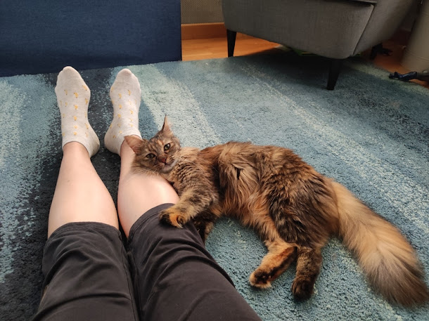Cat-sitting avec Lily