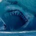 Apa Benar Hiu Megalodon Seperti di Film The Meg Masih Ada di Muka Bumi?