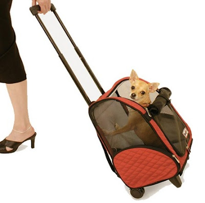 Snoozer Roll Around 4-in-1 Pet Carrier