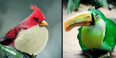 Real Angry Birds