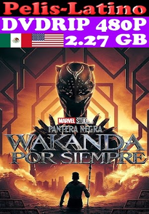 Pantera Negra - Wakanda Por Siempre [2022] [DVDRIP] [480P] [Latino] [Inglés] [Mediafire]