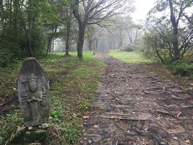 坂戸山の薬師尾根コース