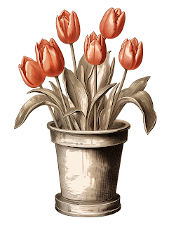 free tulip flower potted plant clipart illustration png