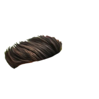 Hair png