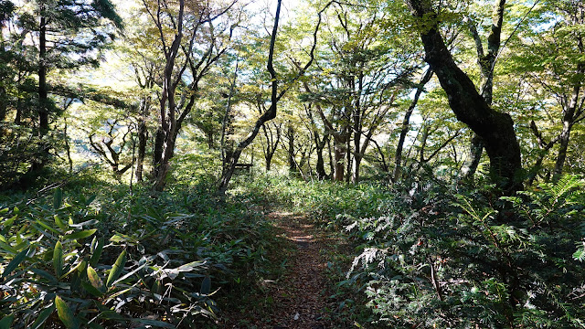 鳥取県西伯郡大山町大山