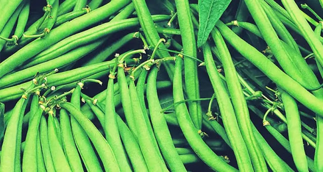 How to Grow French Beans: A Simple Guide for Gardeners