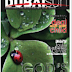 Dubai Sun – 16