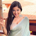 Actress Sakshi Agarwal Latest Hot Photos in Saree