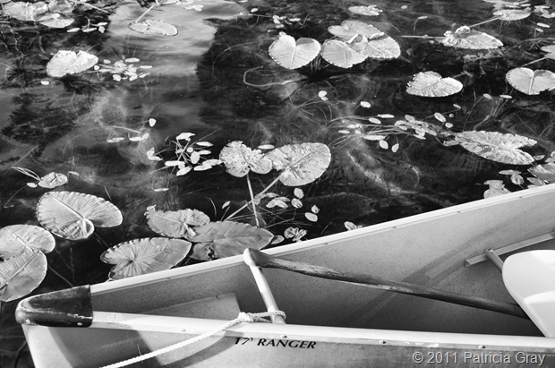 Patricia Gray Black and White Photography Wistler