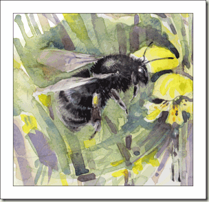 b-ruderatus-colsketch-bg