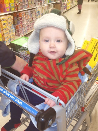 20121222 first time in cart (2) edit2
