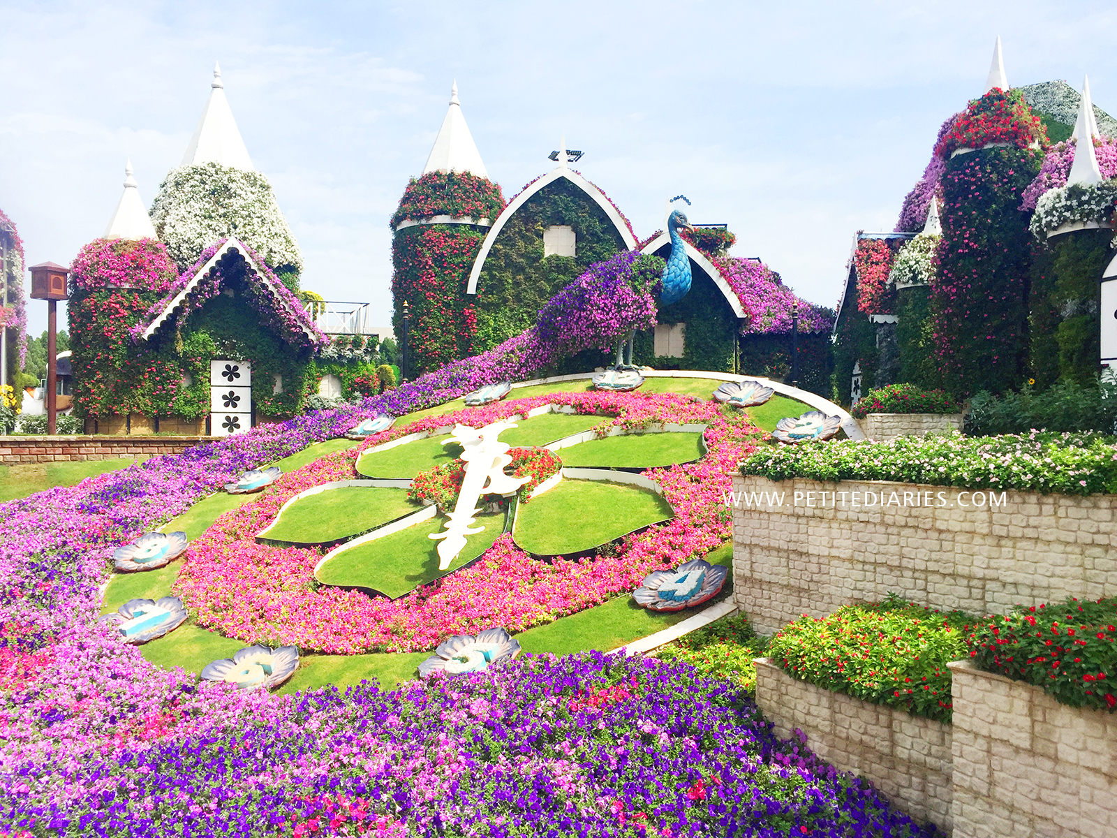 dubai trip miracle garden