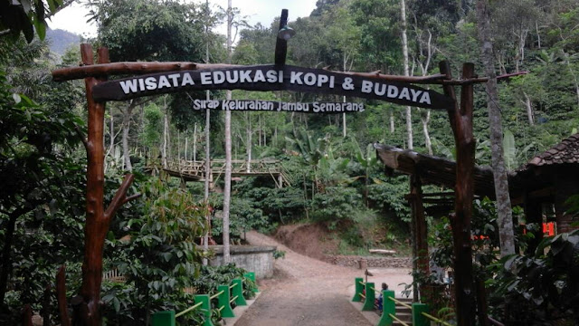 Dusun Sirap Referensi Akhir Pekan Untuk Liburan dan Nikmati Keindahan Wisata Edukasi Kopi dan Budaya