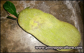 langka, jackfruit