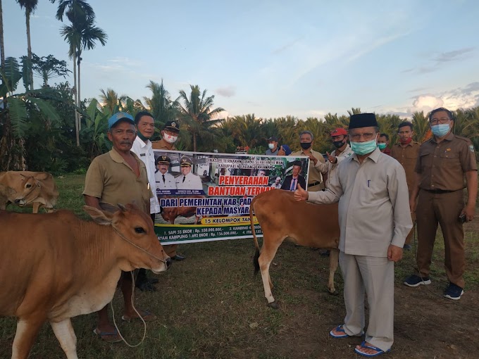  15 Kelompok Tani Ternak, Terima Bantuan Dari Pemerintah Kabupaten Padang Pariaman