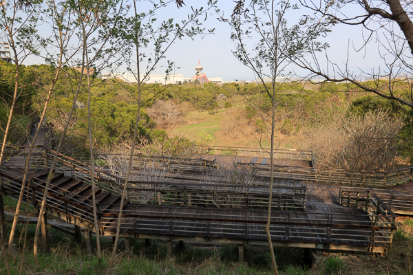 台中西屯中科東大公園400公尺九重葛花牆 、諾亞方舟步道散步