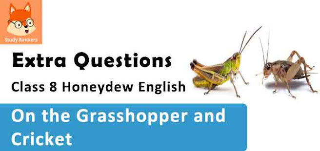 On the Grasshopper and Cricket Poem Important Questions Class 8 Honeydew English