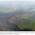 Incendio en Dzilam ya arrasó 250 hectáreas / Se coordinan esfuerzos / Avioneta de la SSP y aeronave de Semar
