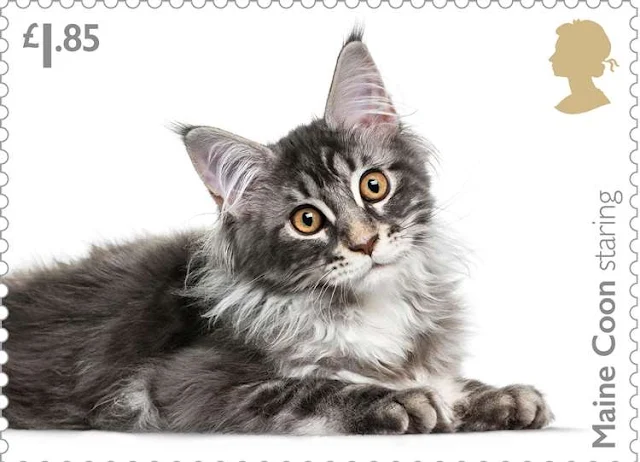 Royal Mail feature a Maine Coon cat and other breeds