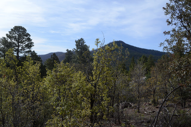 opening made by granite to look out to Signal Peak