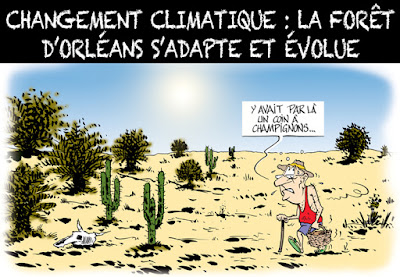 Vomorin Cartoons