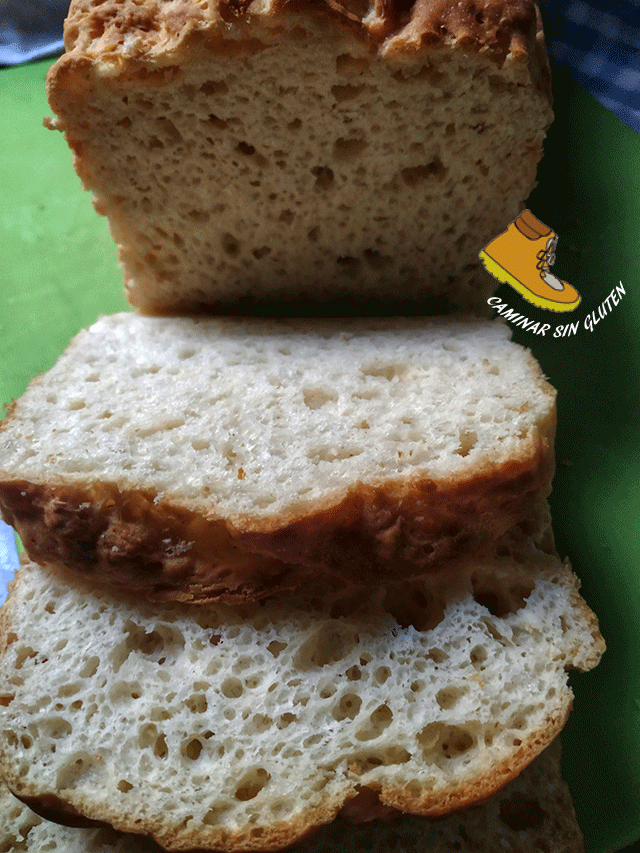 Rebanadas pan de molde sin gluten y sin lactosa