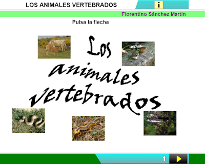 https://cplosangeles.educarex.es/web/edilim/curso_3/cmedio/animales_vertebrados_3/vertebrados/vertebrados.html