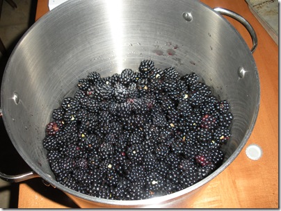 canning 9-09 007