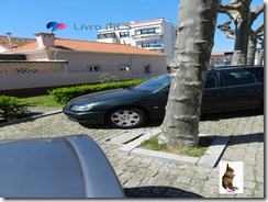 Bolg Gazeta de Espinho013 Livro MCS