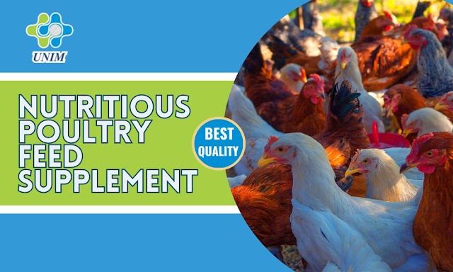 Boost Poultry Health With Our Nutritious Poultry Feed Supplement