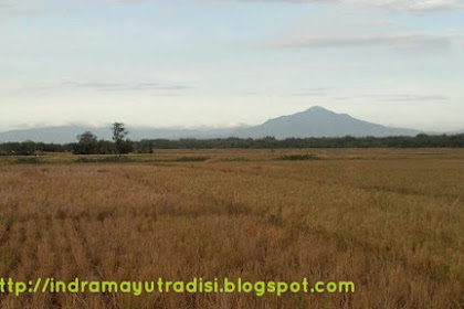 Pesona Indramayu Selatan : Pasca Panen di Loyang