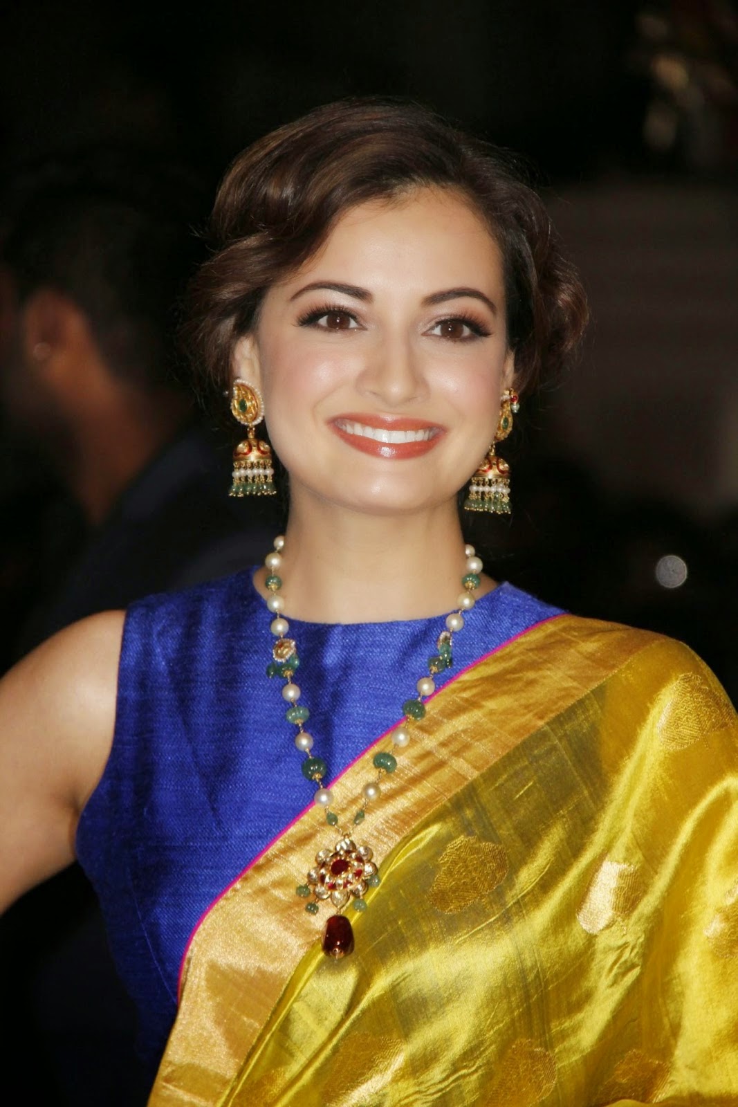 Dia Mirza in Saree at 60th Britannia Filmfare Awards 2015