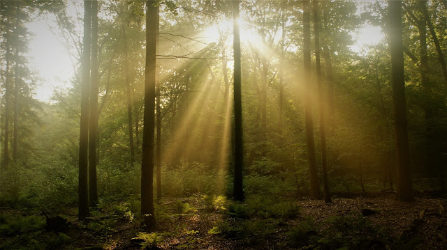 natuur en geloof