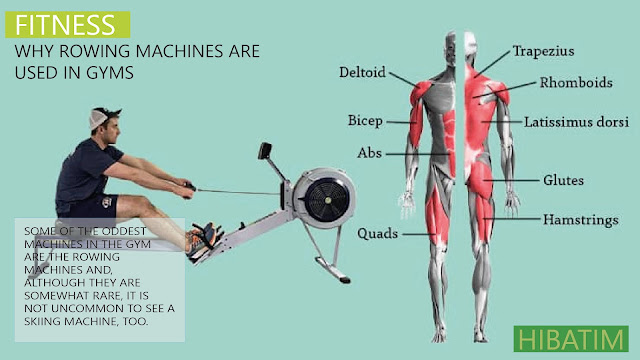 Why rowing machines are used in gyms